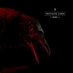 Producing, recording & mixing