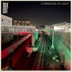 #6 Top 20 Aotearoa Albums. Recording & mixing